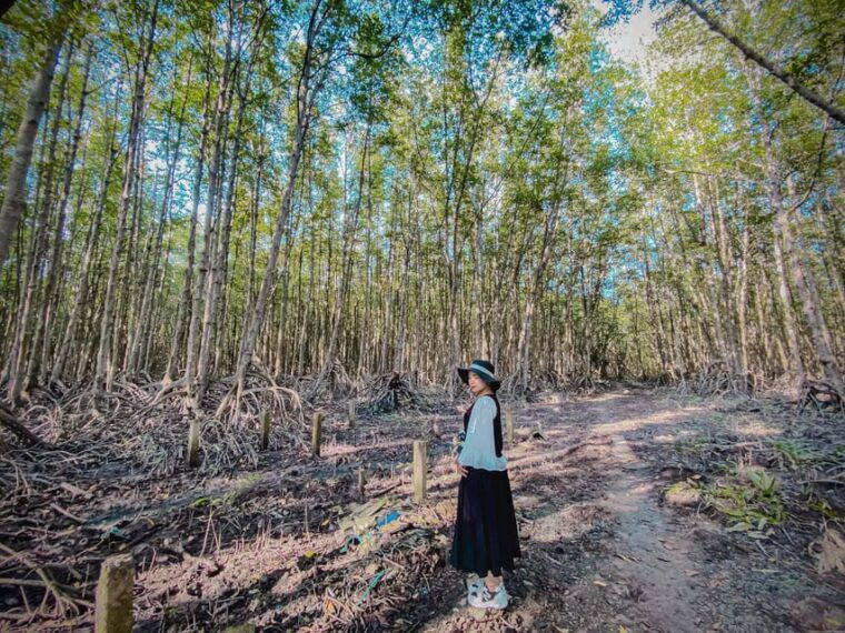 ho-chi-minh-explore-can-gio-mangrove-forest-monkey-island