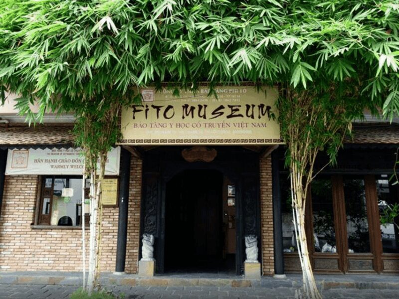 Ho Chi Minh: Fito Museum Admission Ticket - Is This Experience Right for You?