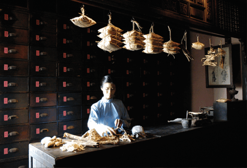 ho-chi-minh-fito-museum-admission-ticket