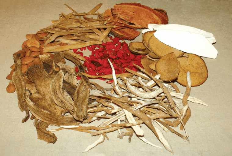 ho-chi-minh-fito-museum-admission-ticket