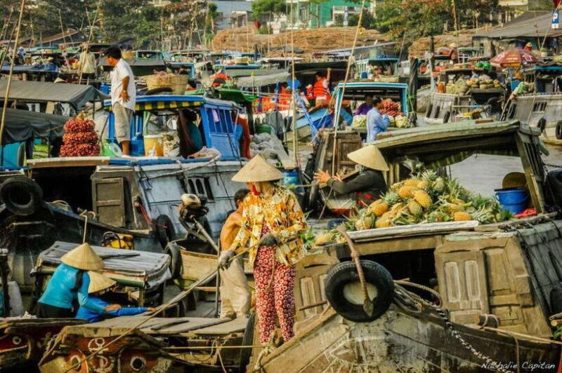 Ho Chi Minh: Group Cai Rang Floating Market 1 Day Tour - Final Thoughts: Who is This Tour For?