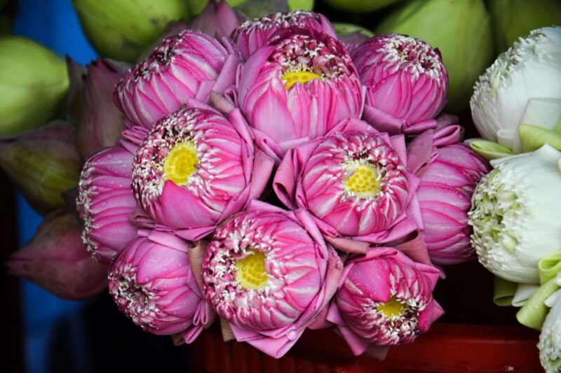 ho-chi-minh-historical-city-scooter-tour