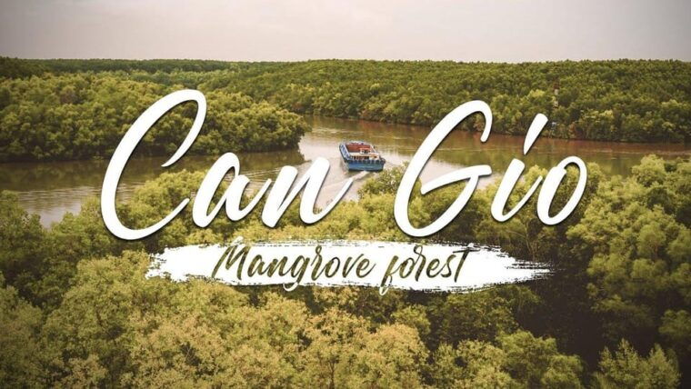 ho-chi-minh-private-can-gio-mangrove-forest-1-day-tour