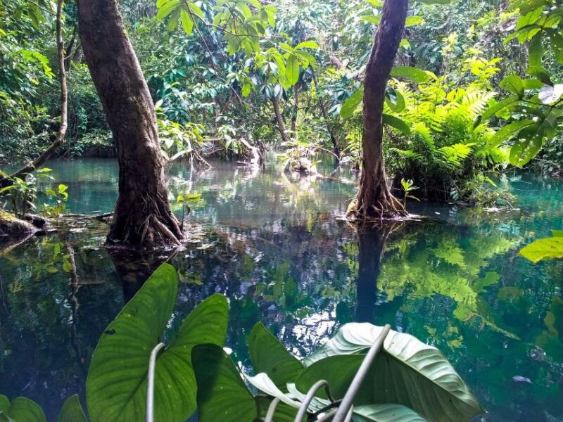 ho-chi-minh-private-can-gio-mangrove-forest-day-tour