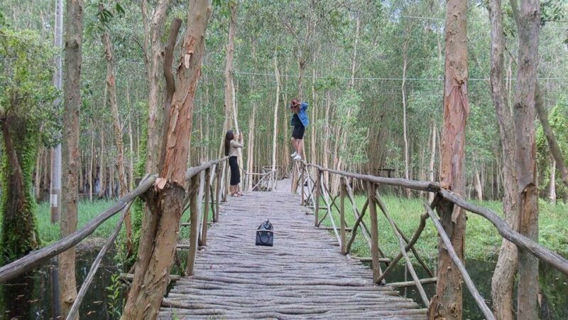 ho-chi-minh-private-can-gio-mangrove-forest-day-tour