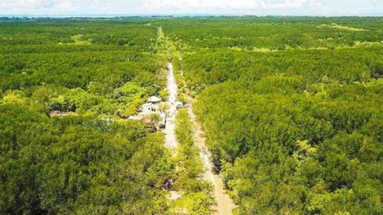 ho-chi-minh-private-eco-tour-to-can-gio-mangrove-forest