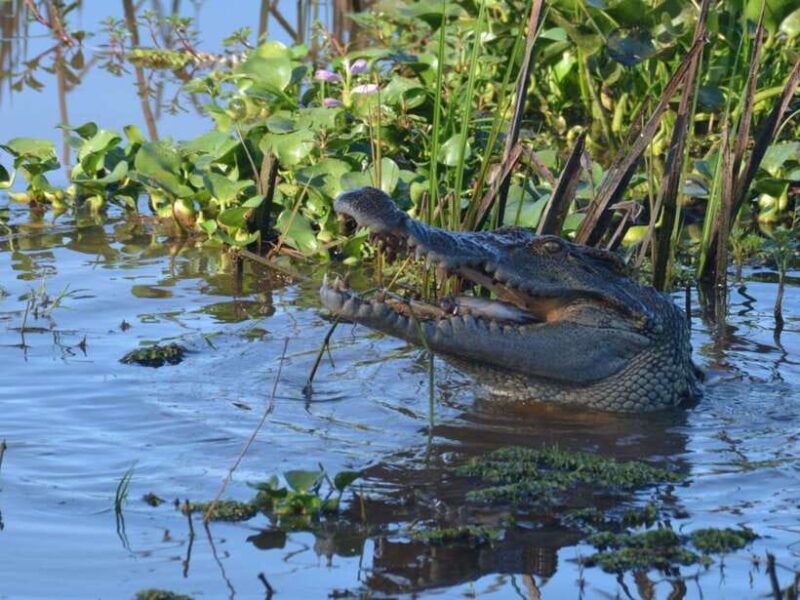 ho-chi-minh-to-cat-tien-national-park-dalat-3-days