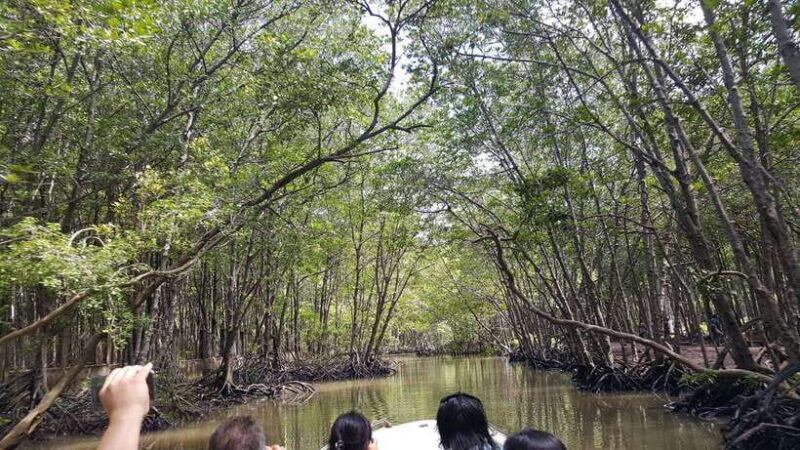 ho-chi-minhcan-gio-mangrove-forest-w-guide-picked-at-hotel