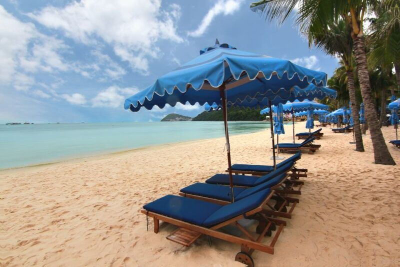 ho-coc-beach-nature-reserve-dragon-fruit-farm-day-tour