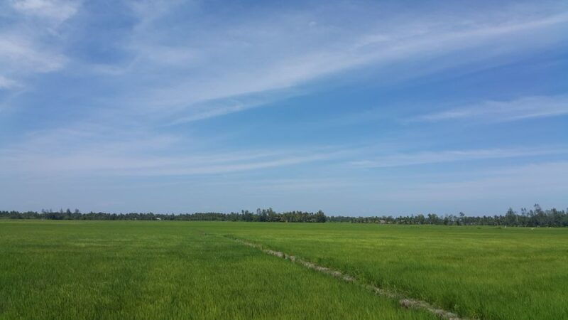 ho-coc-beach-nature-reserve-dragon-fruit-farm-day-tour