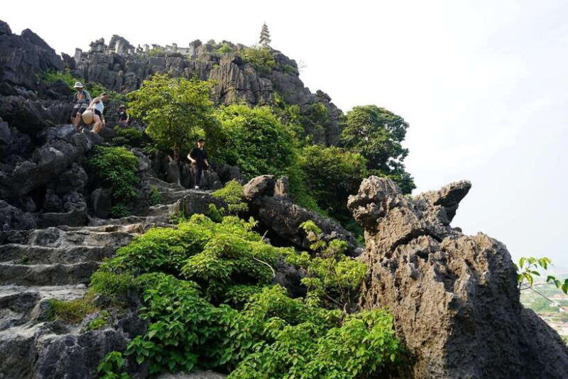 hoa-lu-tam-coc-mua-cave-bich-dong-pagoda-cycling-from-nbinh