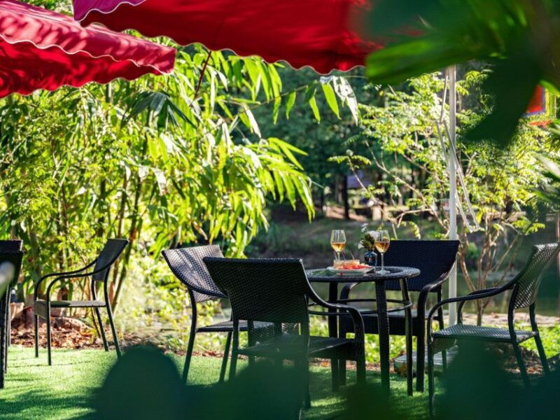 hoa-lu-tam-coc-mua-cave-limousine-transfer