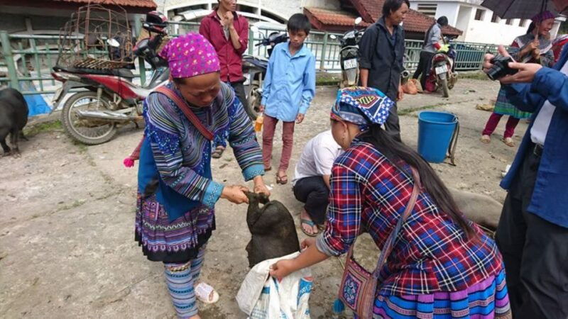 hoan-kiem-3-day-sapa-trek-adventure-tour-with-local-guide