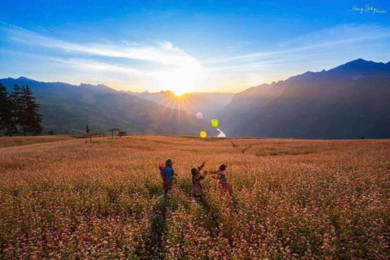 hoang-su-phi-dong-van-ma-pi-leng-pass-5-days-6-nights