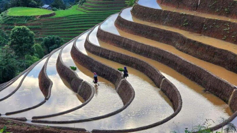 hoang-su-phi-dong-van-ma-pi-leng-pass-5-days-6-nights
