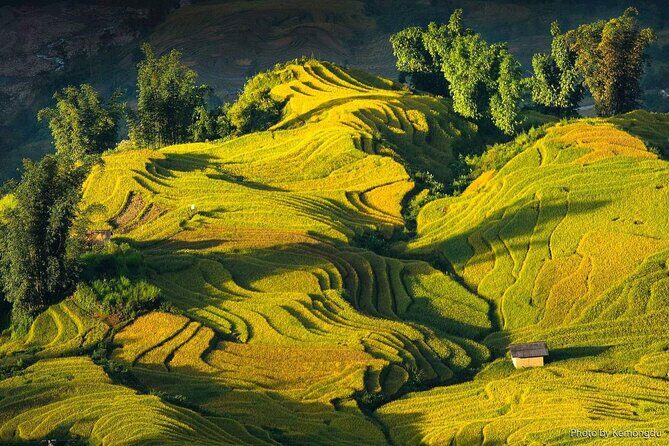 Hoang Su Phi Loop 4 Day Motorbike and Hiking Tour - Key Points