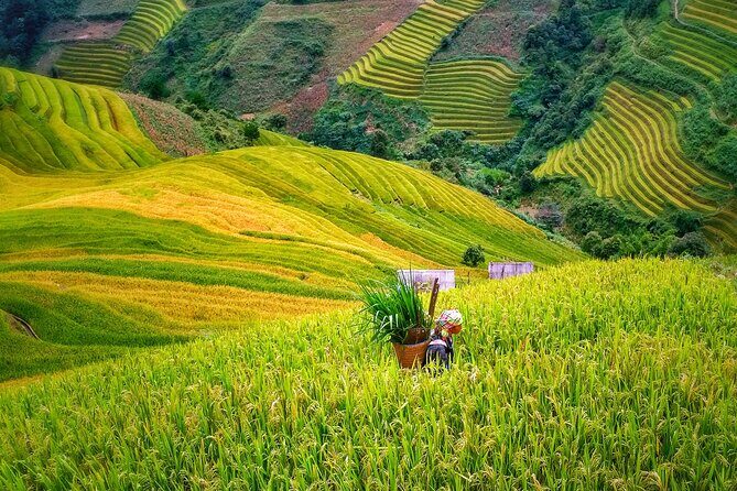 Hoang Su Phi Loop 4 Day Motorbike and Hiking Tour - Practical Tips for Participants