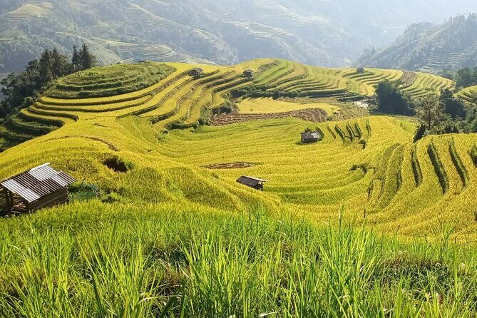 Hoang Su Phi Trekking Tour 3 days 2 nights - An In-Depth Look at the Tour Itinerary and Experience