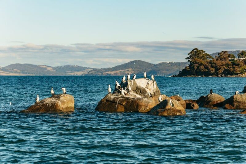 Hobart: 2.5-hour Iron Pot Lighthouse Cruise - Who Would Love This Tour?