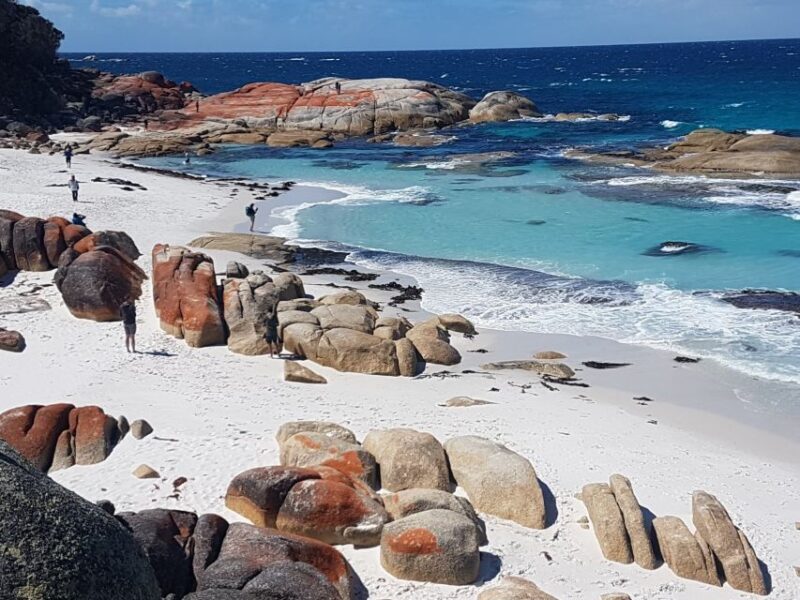 Hobart: 4 Day Wild Tasmania Tour - Practical Considerations