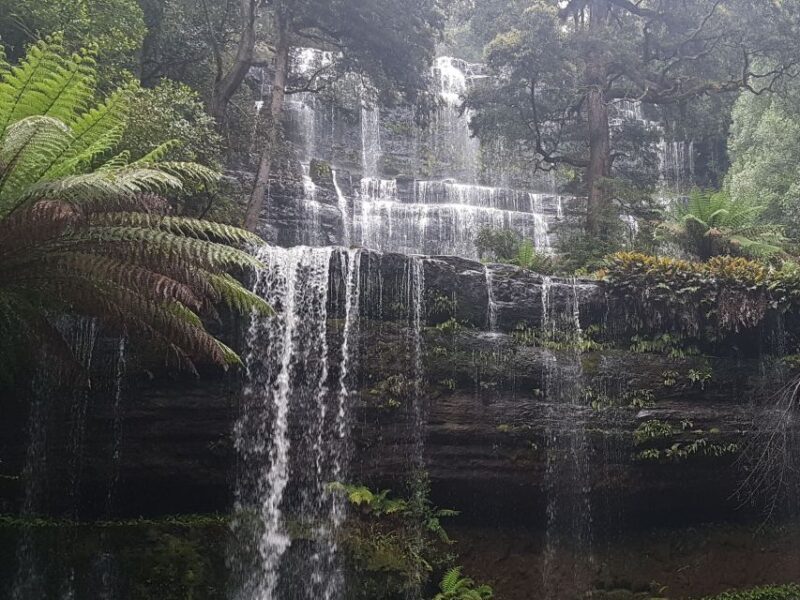 Hobart: 4 Day Wild Tasmania Tour - The Sum Up