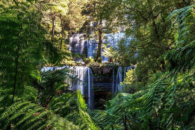 Hobart Adventurer Day Tour | Amazing Views & Native Wildlife - Exploring Tasmania’s Natural Wonders in a Single Day