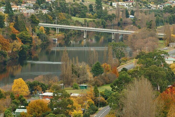 Hobart Adventurer Day Tour | Amazing Views & Native Wildlife - Who is this tour best for?