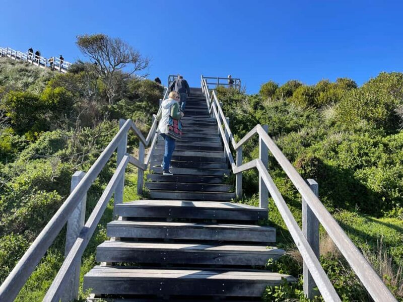 Hobart: Bruny Island Adventure: Hike, Highlights & Tastes - Hobart: Bruny Island Adventure: Hike, Highlights & Tastes