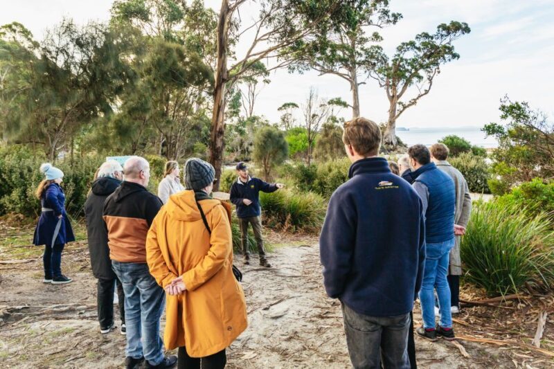 Hobart: Bruny Island Gourmet Sightseeing Day Tour - Final Thoughts