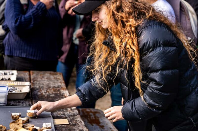 Hobart: Bruny Island Tour with Hotel Lunch & Lighthouse Tour - Practical Tips & Considerations