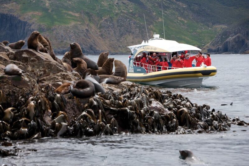Hobart: Bruny Island Wilderness Coast Eco Cruise with Lunch - The Full Experience: A Deep Dive into the Tour Itinerary