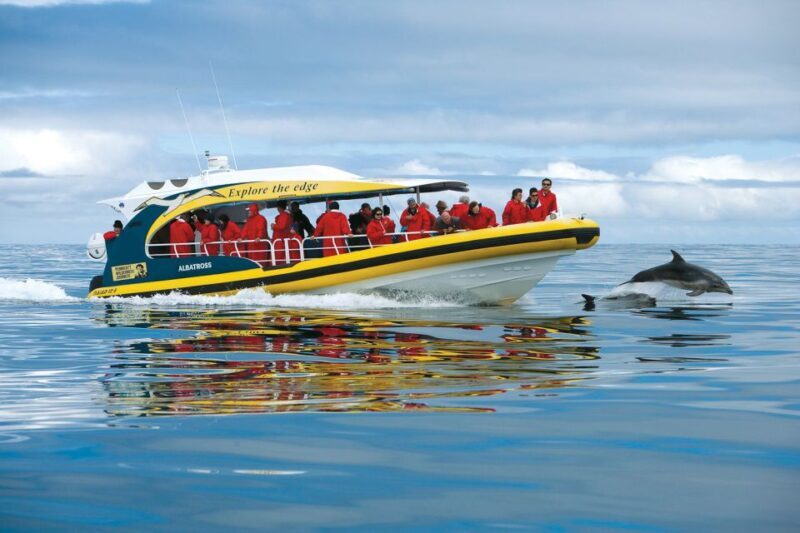 Hobart: Bruny Island Wilderness Coast Eco Cruise with Lunch - Potential Drawbacks & Considerations