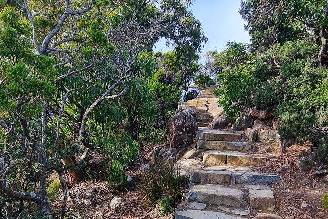 Hobart: Cape Hauy Adventure Hike - rugged cliffs & wild beauty - Practical Details & What’s Included