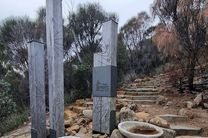 Hobart: Cape Hauy Adventure Hike - rugged cliffs & wild beauty - The Sum Up