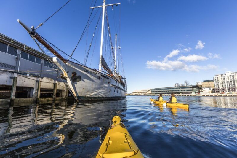 Hobart City 2.5-Hour Kayak Tour - Final Thoughts  
