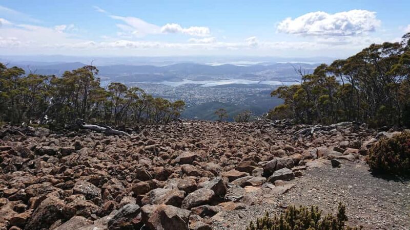 Hobart: Day Trip to Mt Wellington and MONA with Ferry Ride - Return Journey and Overall Experience