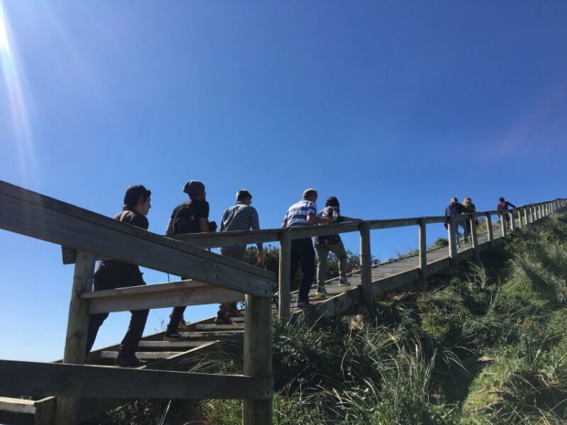 Hobart: Day Trip to Mt Wellington and MONA with Ferry Ride - Key Points