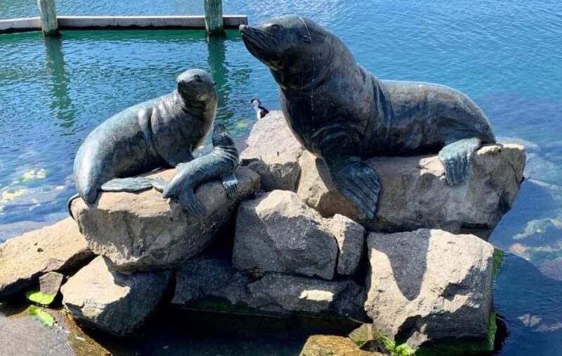 Hobart Discovery Experience - What to Expect from the Hobart Discovery Experience