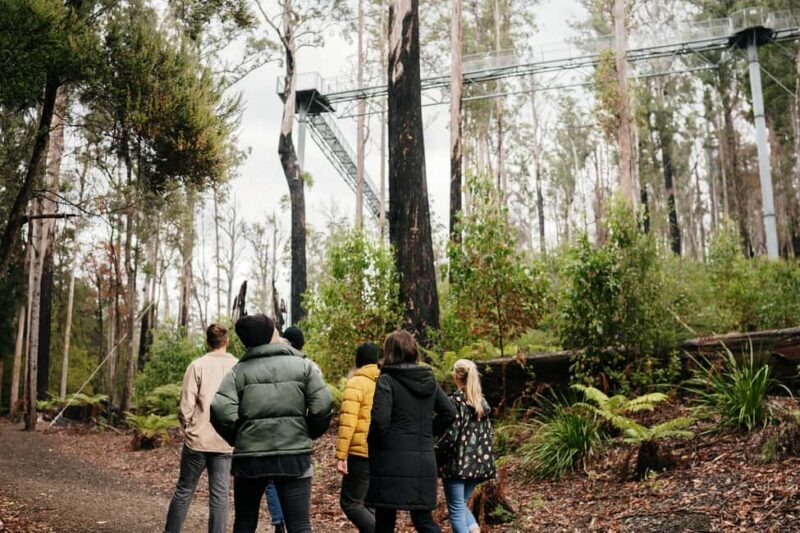 Hobart: Hastings Cave, Tahune Airwalk and Huon Tasting Trail - The Itinerary Breakdown: What You Can Expect