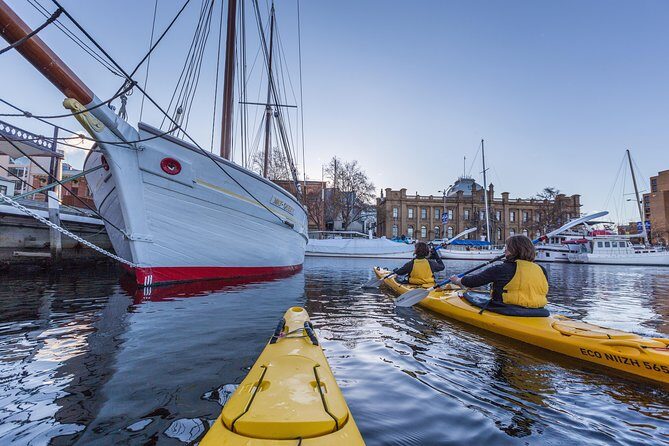 Hobart Kayak Tour - Authentic Experiences and Highlights
