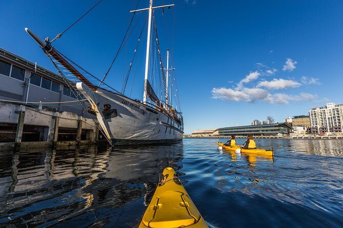 Hobart Kayak Tour - Who Will Love This Tour?