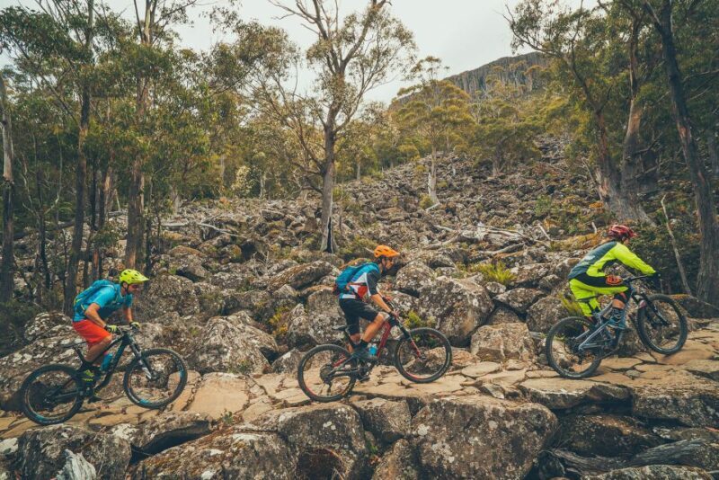 Hobart: kunanyi/Mt Wellington Explorer Bus Pass - Why Choose the kunanyi/Mt Wellington Explorer Bus Pass?