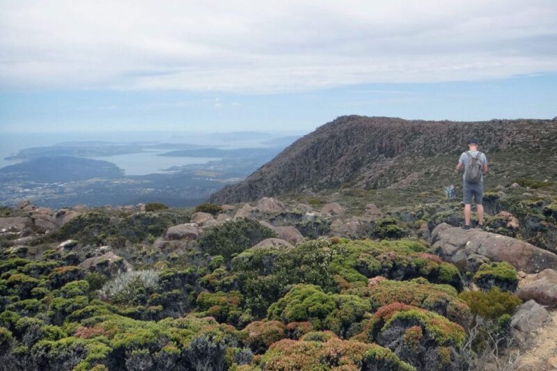 Hobart: kunanyi/Mt Wellington Explorer Bus Pass - Transportation and Accessibility