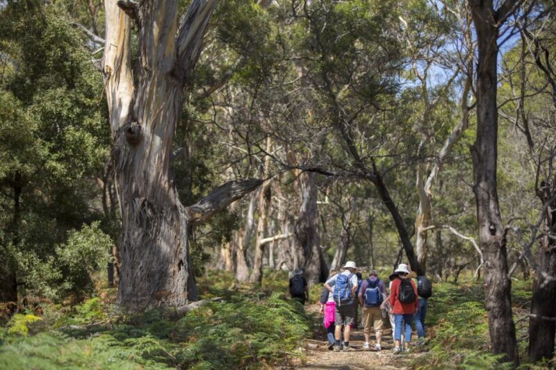 Hobart: Maria Island National Park Active Full-Day Tour - Fossil Cliffs: A Walk Through 300 Million Years