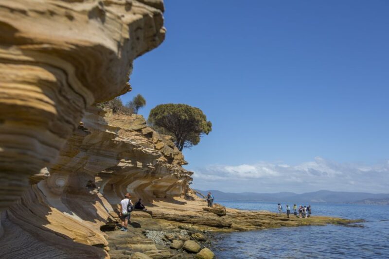 Hobart: Maria Island National Park Active Full-Day Tour - Return and Reflection