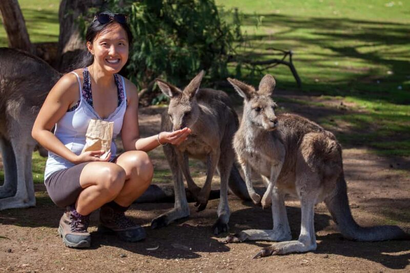 Hobart: Mt Field National Park & Wildlife Shore Excursion - Key Points