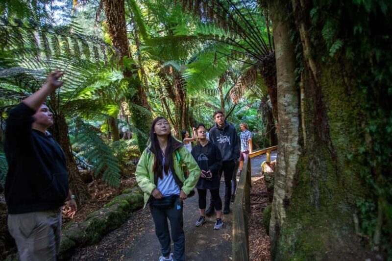 Hobart: Mt Field National Park & Wildlife Shore Excursion - Overview of the Experience