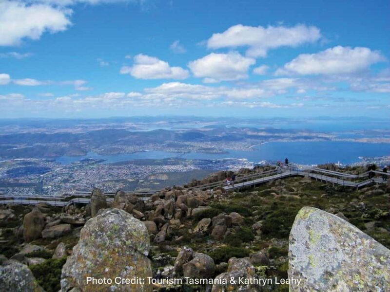 Hobart: Mt Wellington & MONA (Private Tour) - The Mt Wellington Experience