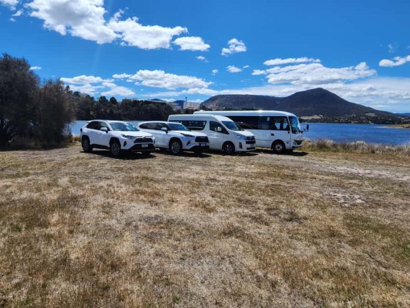 Hobart: Mt Wellington & MONA (Private Tour) - Logistics, Comfort, and Value