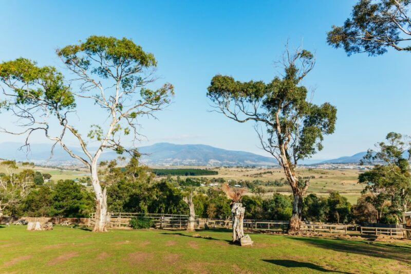 Hobart: Mt Wellington, Mt Field, Bonorong and Richmond Trip - FAQs